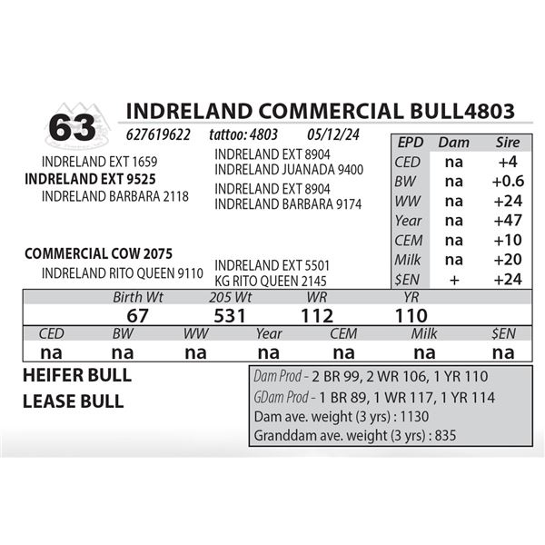 INDRELAND COMMERCIAL BULL4803