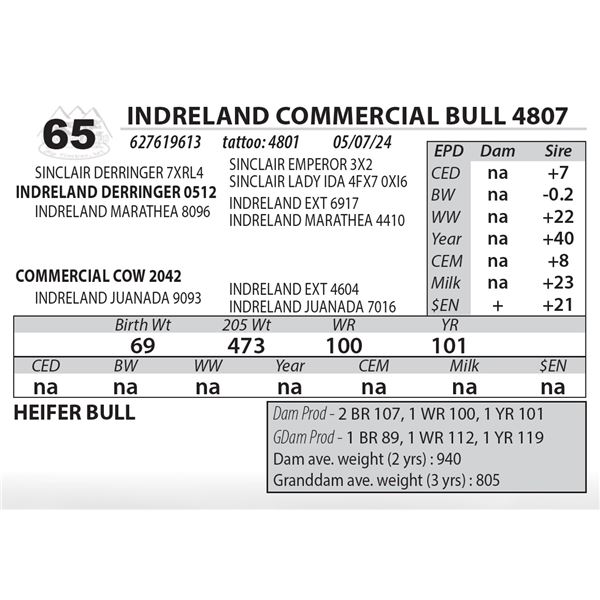 INDRELAND COMMERCIAL BULL 4807