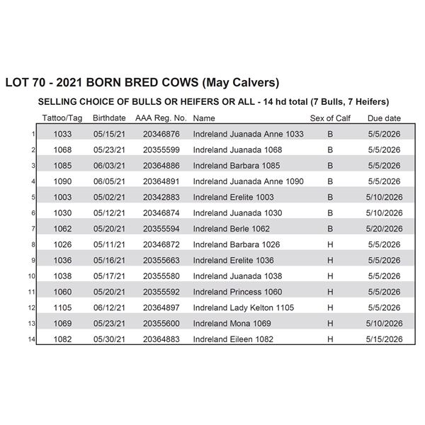 2021 BredCows