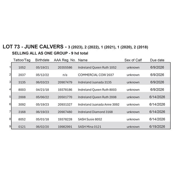June Calving Cows