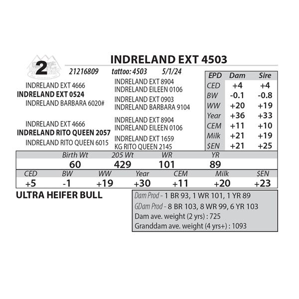 INDRELAND EXT 4503