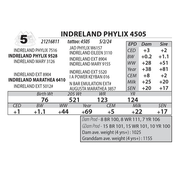 INDRELAND PHYLIX 4505