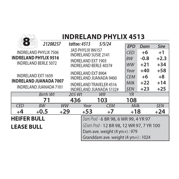 INDRELAND PHYLIX 4513