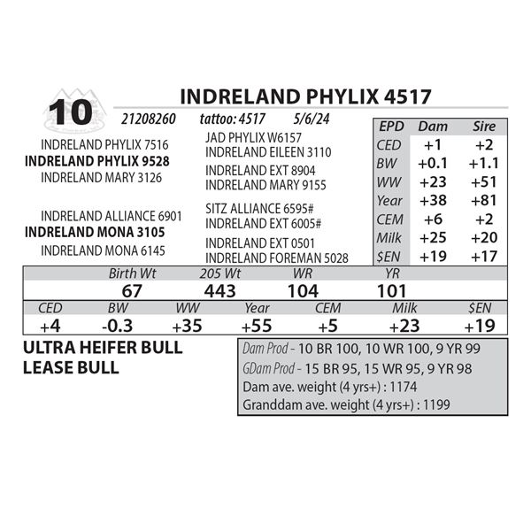 INDRELAND PHYLIX 4517
