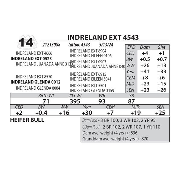 INDRELAND EXT 4543