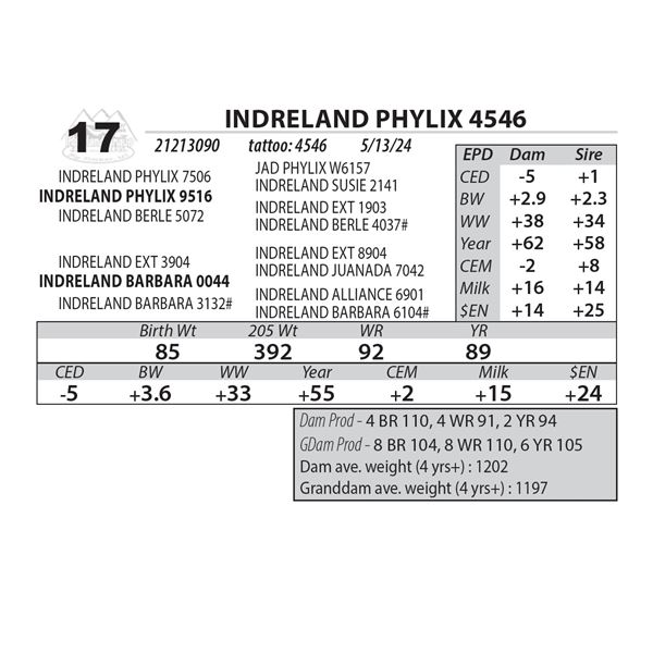 INDRELAND PHYLIX 4546