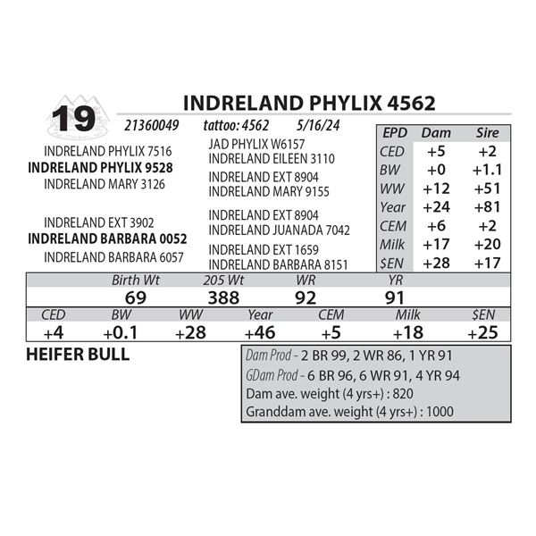 INDRELAND PHYLIX 4562