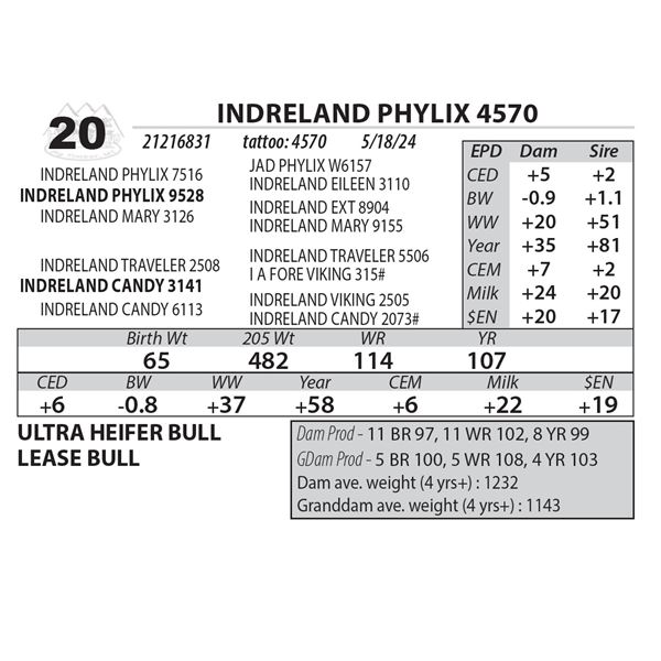 INDRELAND PHYLIX 4570