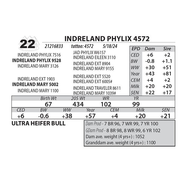 INDRELAND PHYLIX 4572