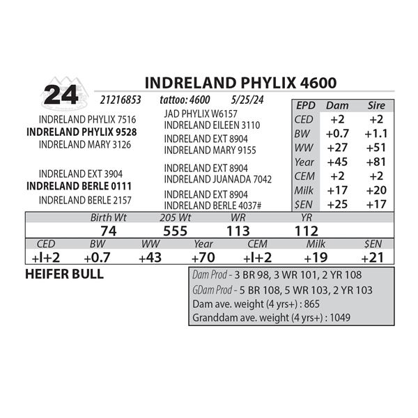 INDRELAND PHYLIX 4600