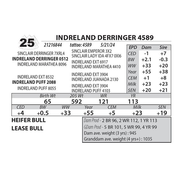 INDRELAND DERRINGER 4589