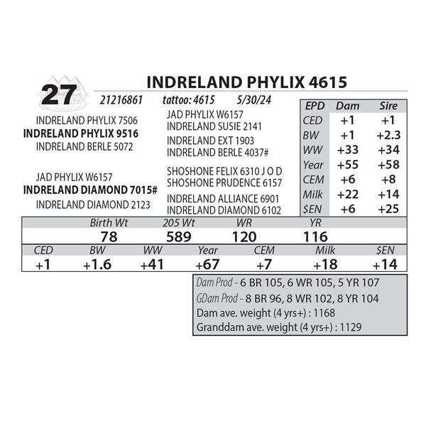 INDRELAND PHYLIX 4615