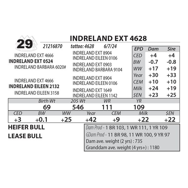 INDRELAND EXT 4628