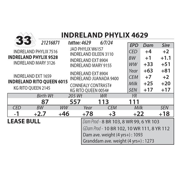 INDRELAND PHYLIX 4629