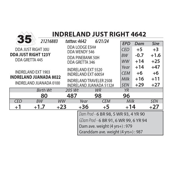 INDRELAND JUST RIGHT 4642