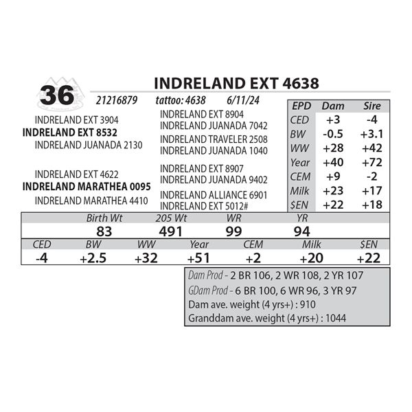 INDRELAND EXT 4638