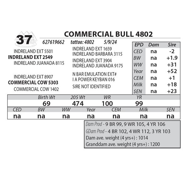 INDRELAND COMMERCIAL BULL 4802
