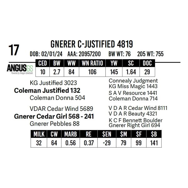 Gnerer C-Justified 4819