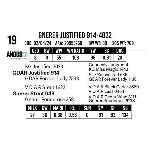 Gnerer Justified 914-4832
