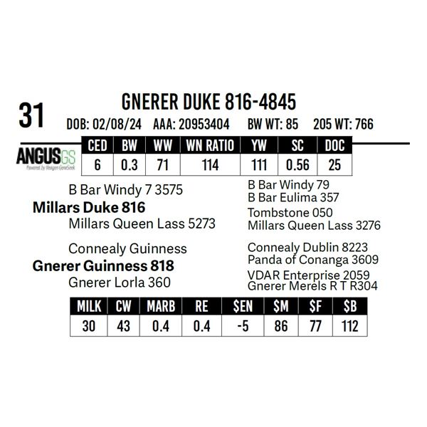 Gnerer Duke 816-4845