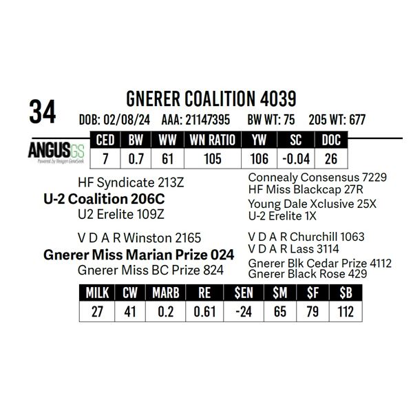 Gnerer Coalition 4039