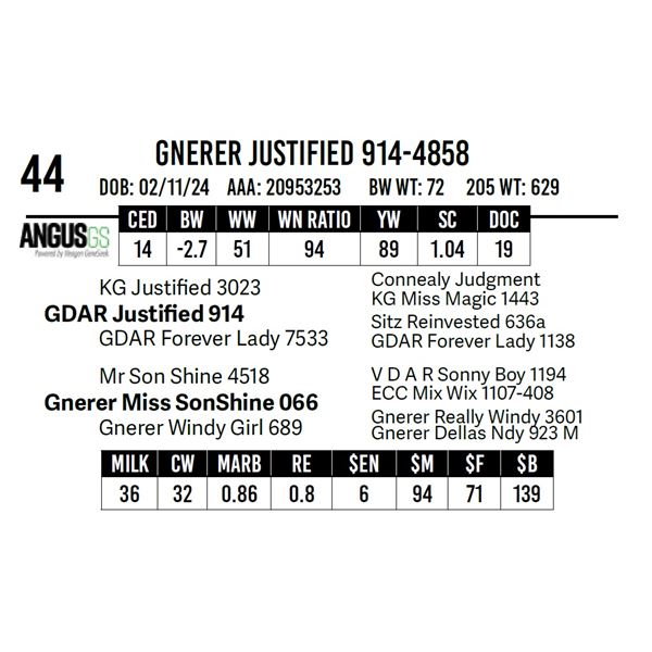Gnerer Justified 914-4858