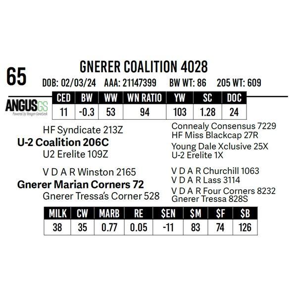 Gnerer Coalition 4028