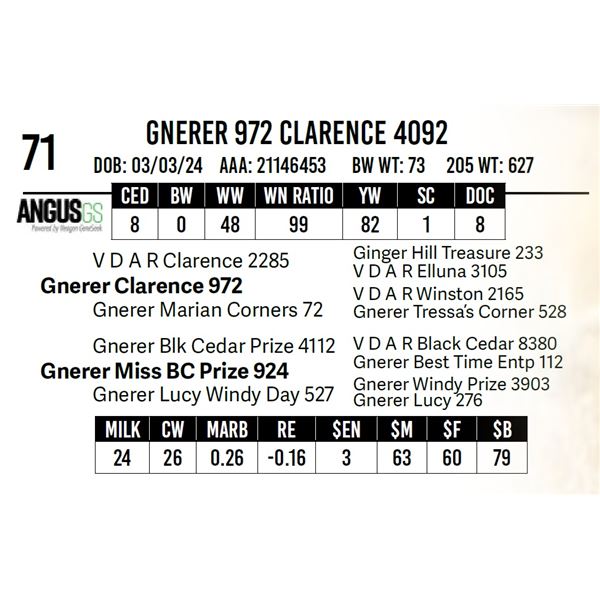 Gnerer 972 Clarence 4092