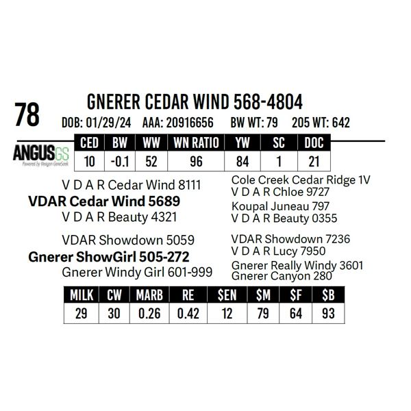 Gnerer Cedar Wind 568-4804