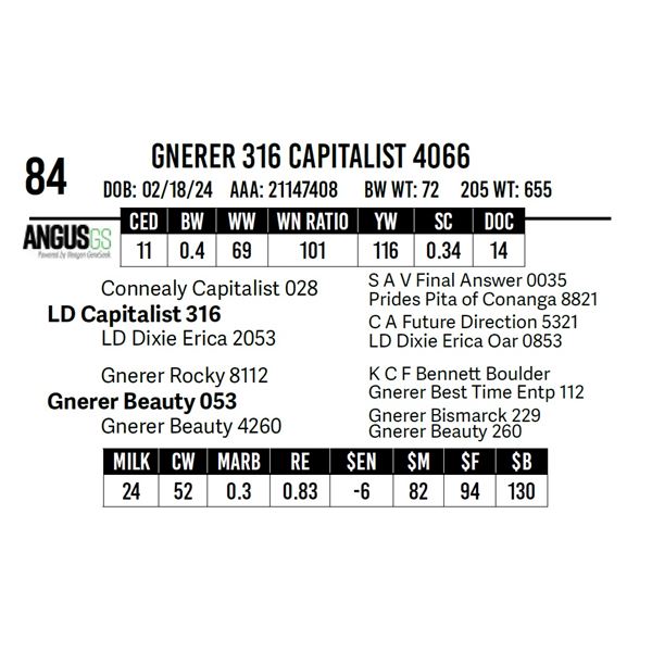 Gnerer 316 Capitalist 4066