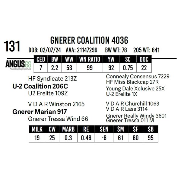 Gnerer Coalition 4036
