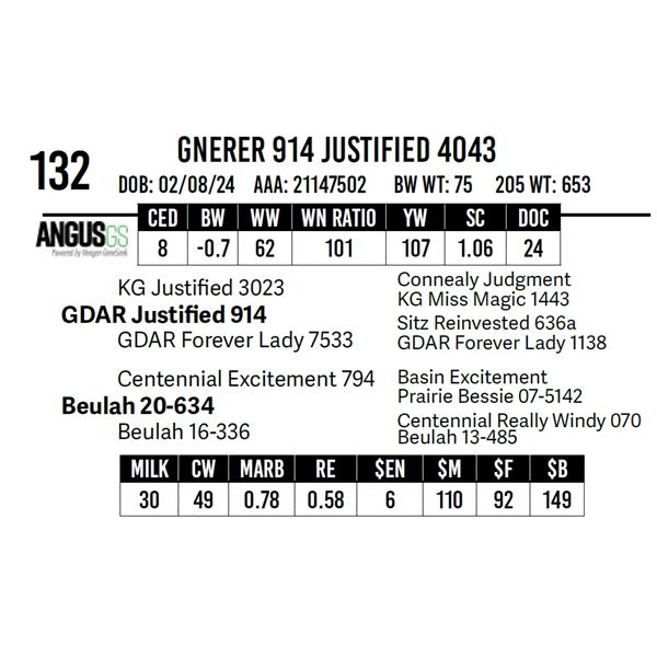 Gnerer 914 Justified 4043
