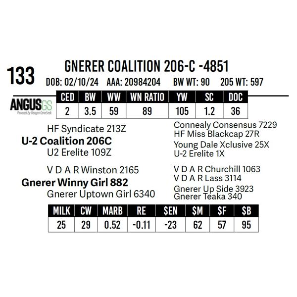 Gnerer Coalition 206-C -4851