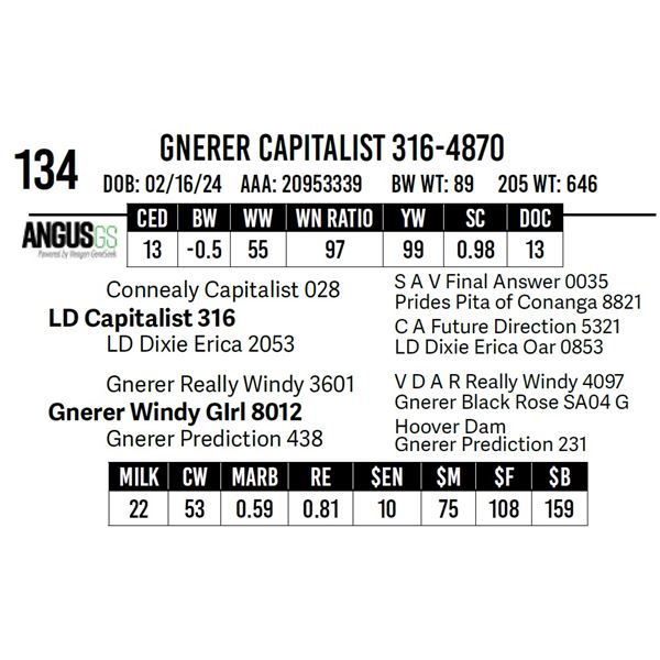 Gnerer Capitalist 316-4870