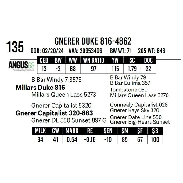 Gnerer Duke 816-4862