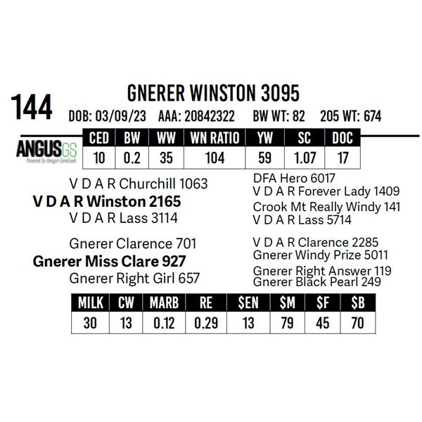 Gnerer Winston 3095