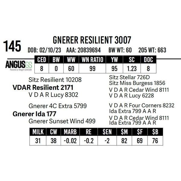 Gnerer Resilient 3007
