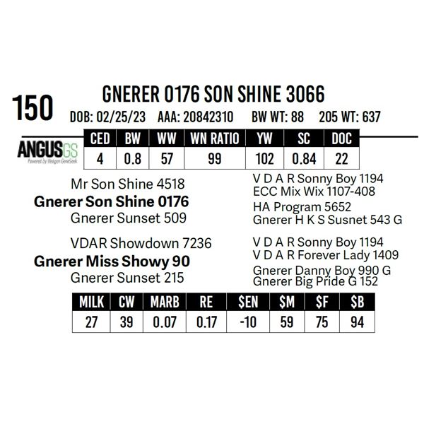 Gnerer 0176 Son Shine 3066