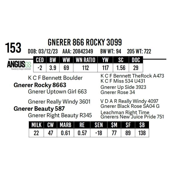 Gnerer 866 Rocky 3099