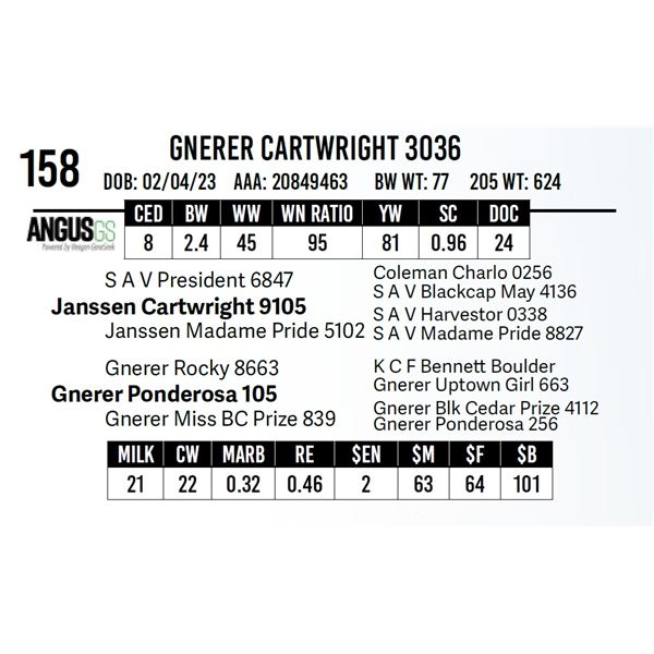 Gnerer Cartwright 3036