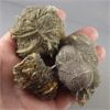 Image 1 : Lot of 3 Selenite Manitoba Floodway Roses