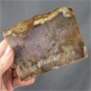 Image 2 : Sagenite Lace Agate Slice - Mexico