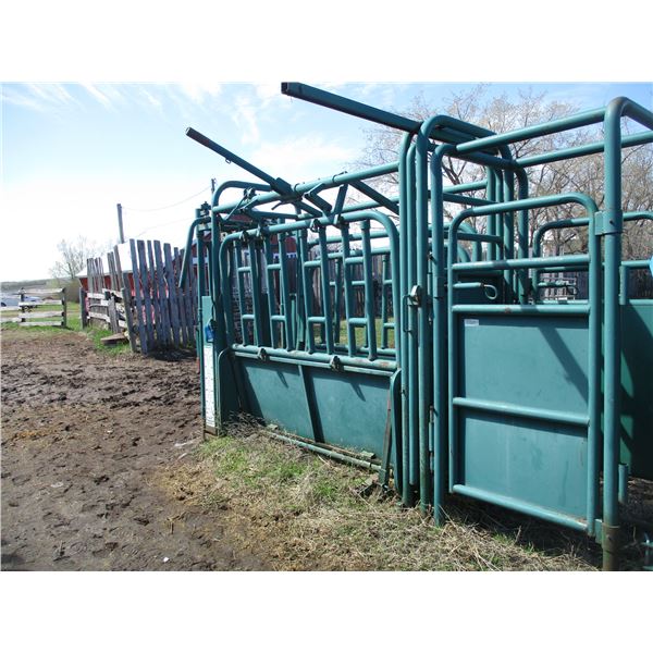 Cattle Squeeze With Entry