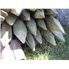 Image 2 : (17 Times Bid Price) (17) 5-6 Inch Fence Posts 8 Feet Long
