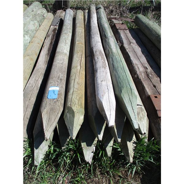 (13 Times Bid Price) (13) 3-4 Inch Fence Posts 7' Long