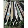 Image 1 : (13 Times Bid Price) (13) 3-4 Inch Fence Posts 7' Long