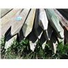 Image 3 : (13 Times Bid Price) (13) 3-4 Inch Fence Posts 7' Long