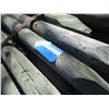Image 3 : (175 Times Bid Price) (175) 3-4 Inch Fence Posts 6' Long