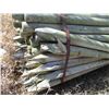 Image 5 : (175 Times Bid Price) (175) 3-4 Inch Fence Posts 6' Long