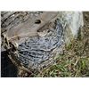 Image 3 : (3 Times Bid Price) (3) Rolls Barbed Wire